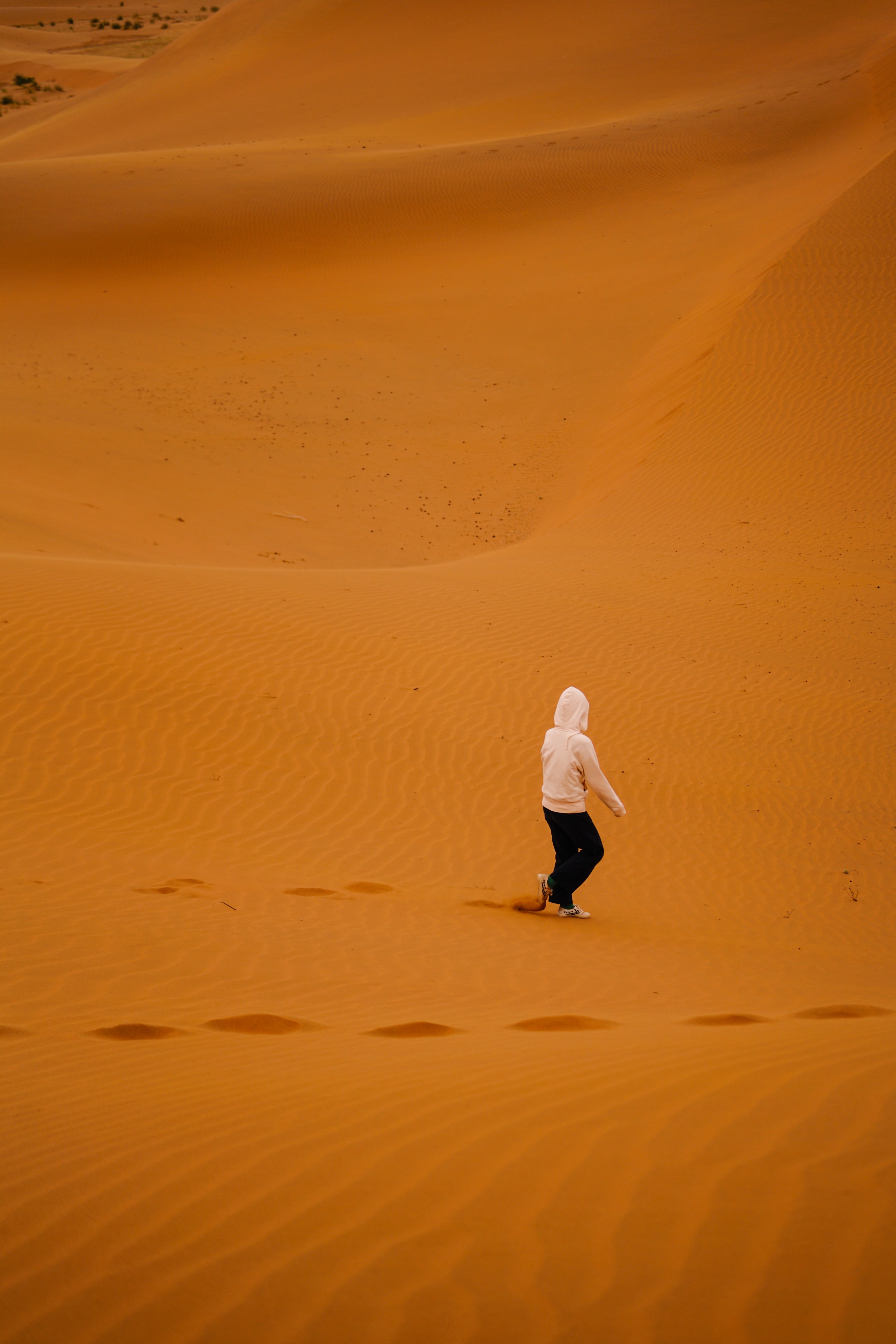 沙漠拓展训练推荐,沙漠里的拓展训练方法