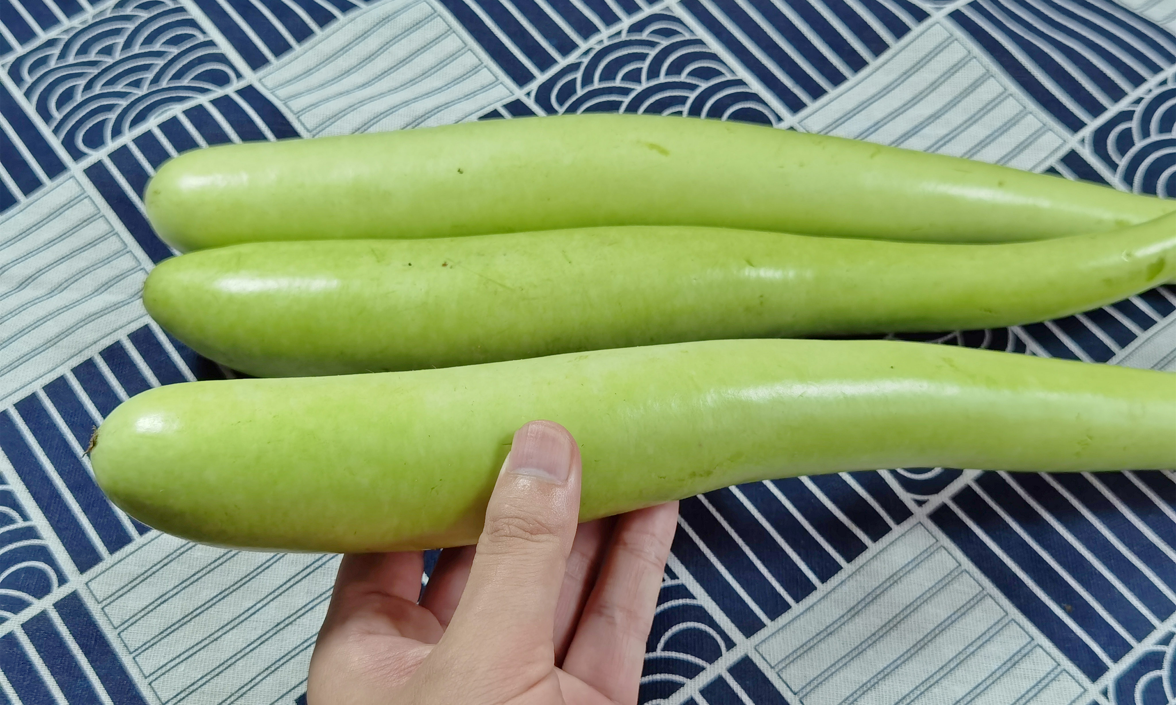 “9月吃一瓜,不劳医生帮”,比丝瓜营养,比冬瓜鲜,入秋抓紧吃