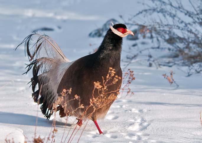 华中华北华南华东怎么区分,华中和华南对比