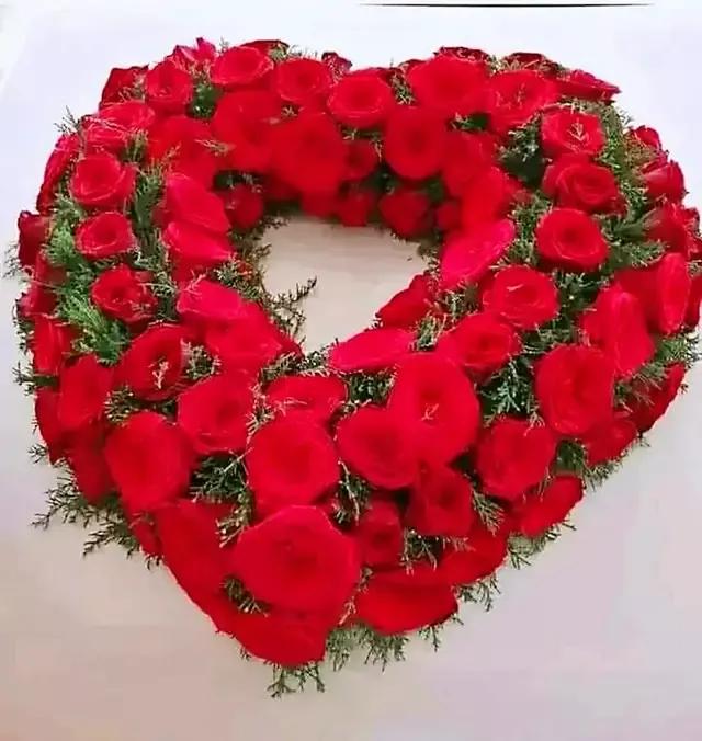 手拿心形图片,心形图片大全