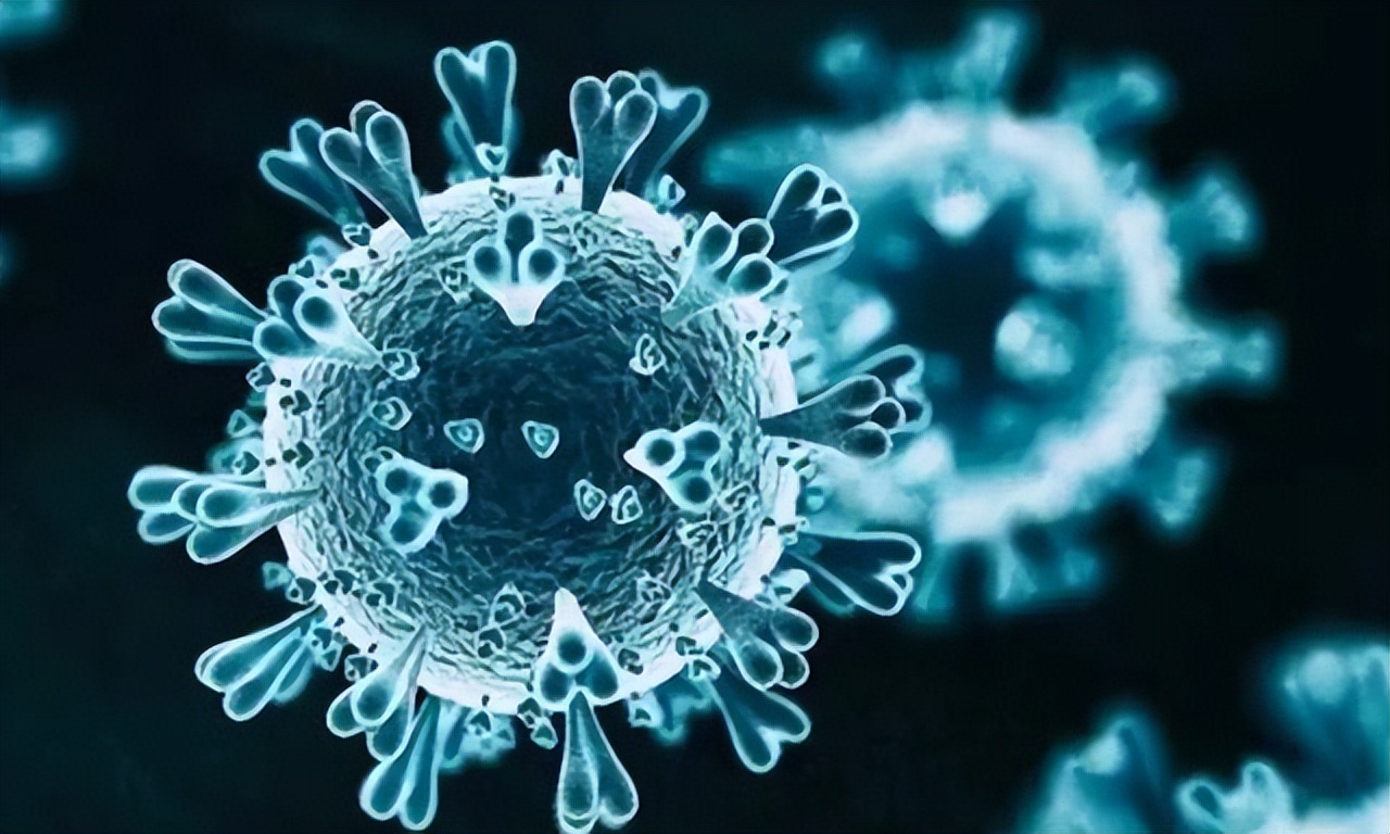 奥密克戎杯8强,世界杯奥密克戎