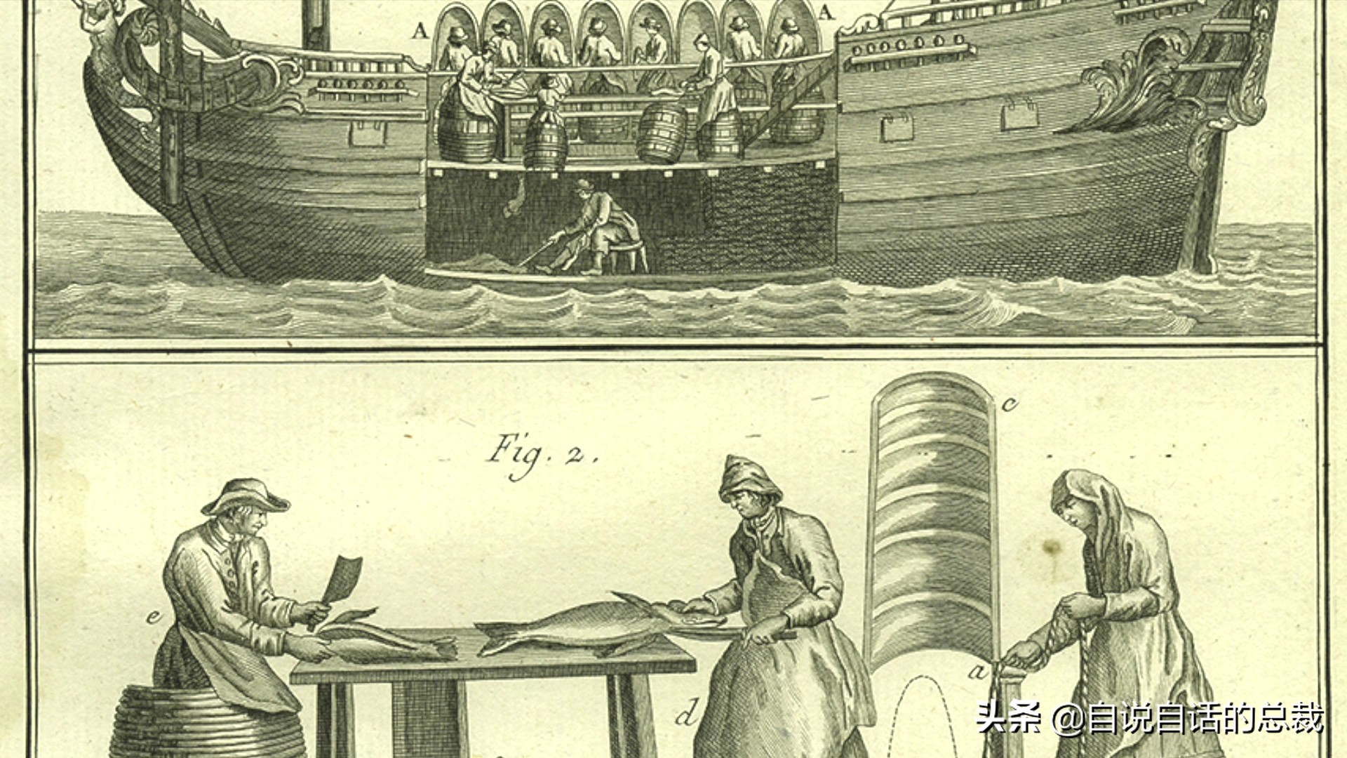 为什么买的鳕鱼段都是粘液,为什么买的鳕鱼那么多水