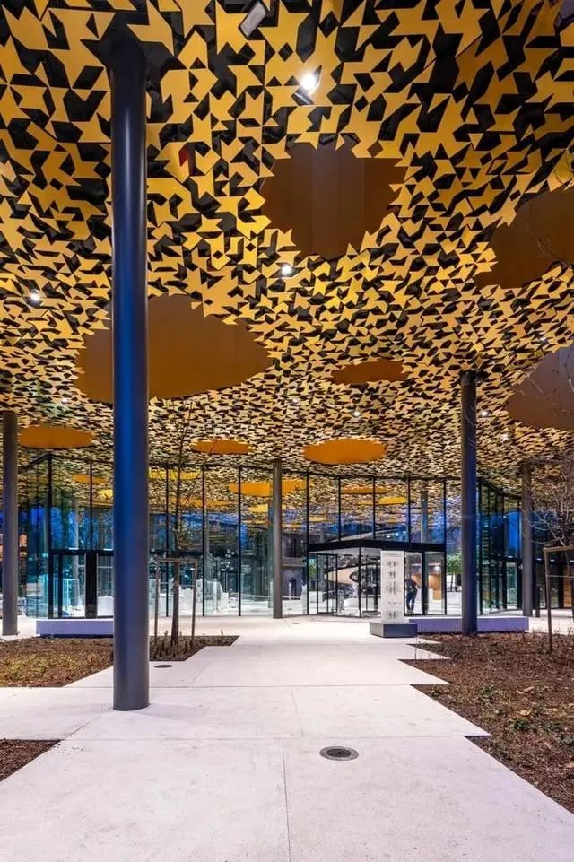 艺术欣赏自然之美,自然美和艺术的美