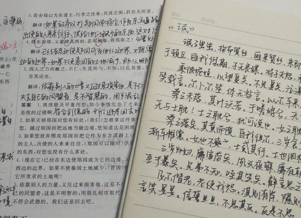 肖战王一博赵今麦丁程鑫,明星评价赵今麦有颜值有演技