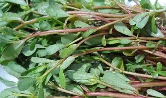 高血压吃这五种食物可以降压,高血压血脂稠能吃的食物有哪些