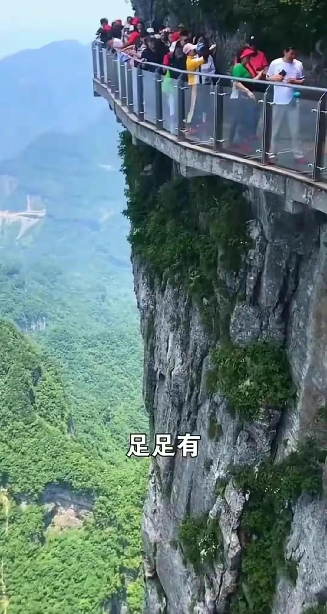 天门山跳崖女孩狼人杀 (天门山跳崖事件内江女孩资料)