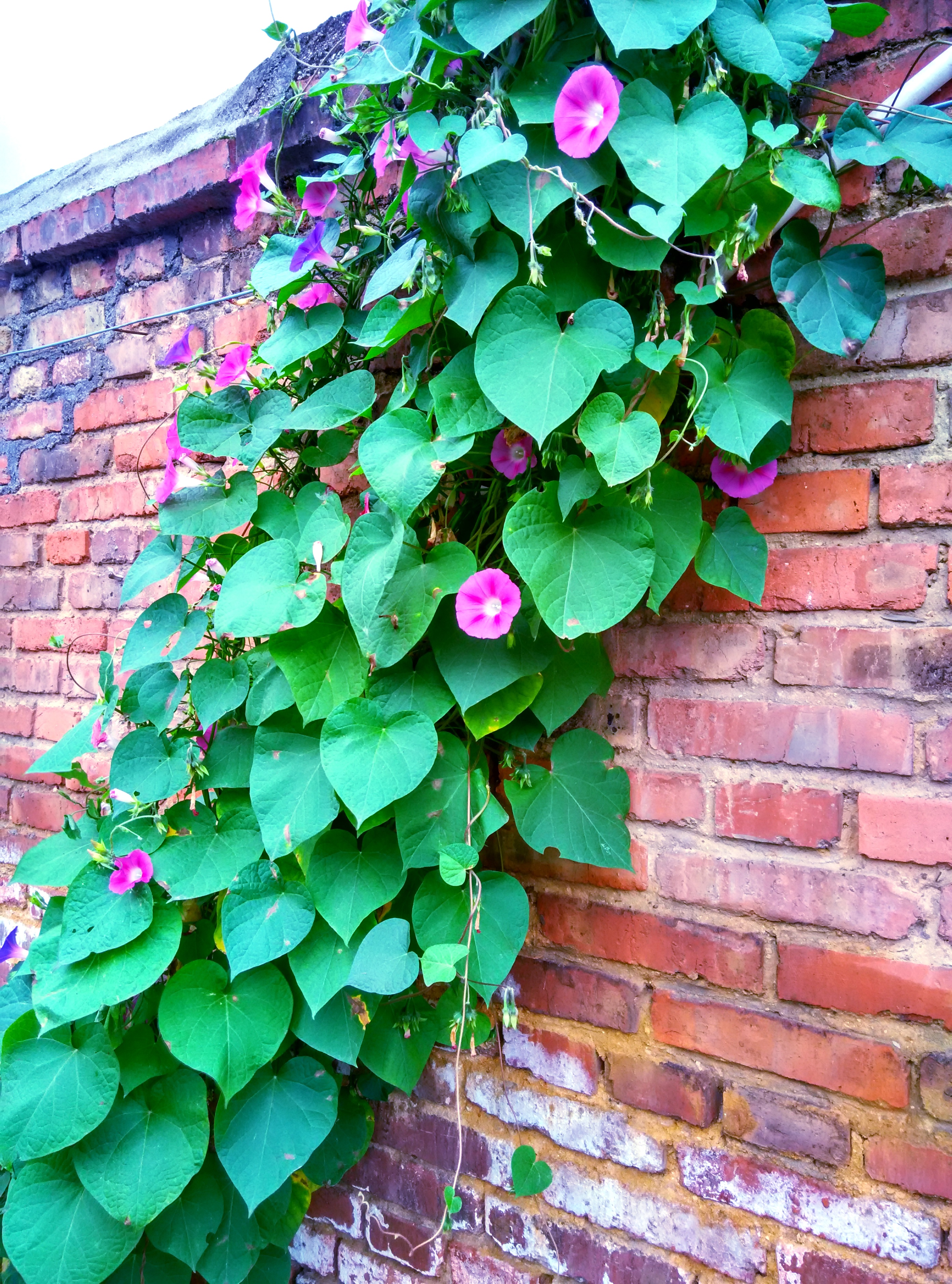 在贵阳租房记录生活,贵阳租房子的真实生活