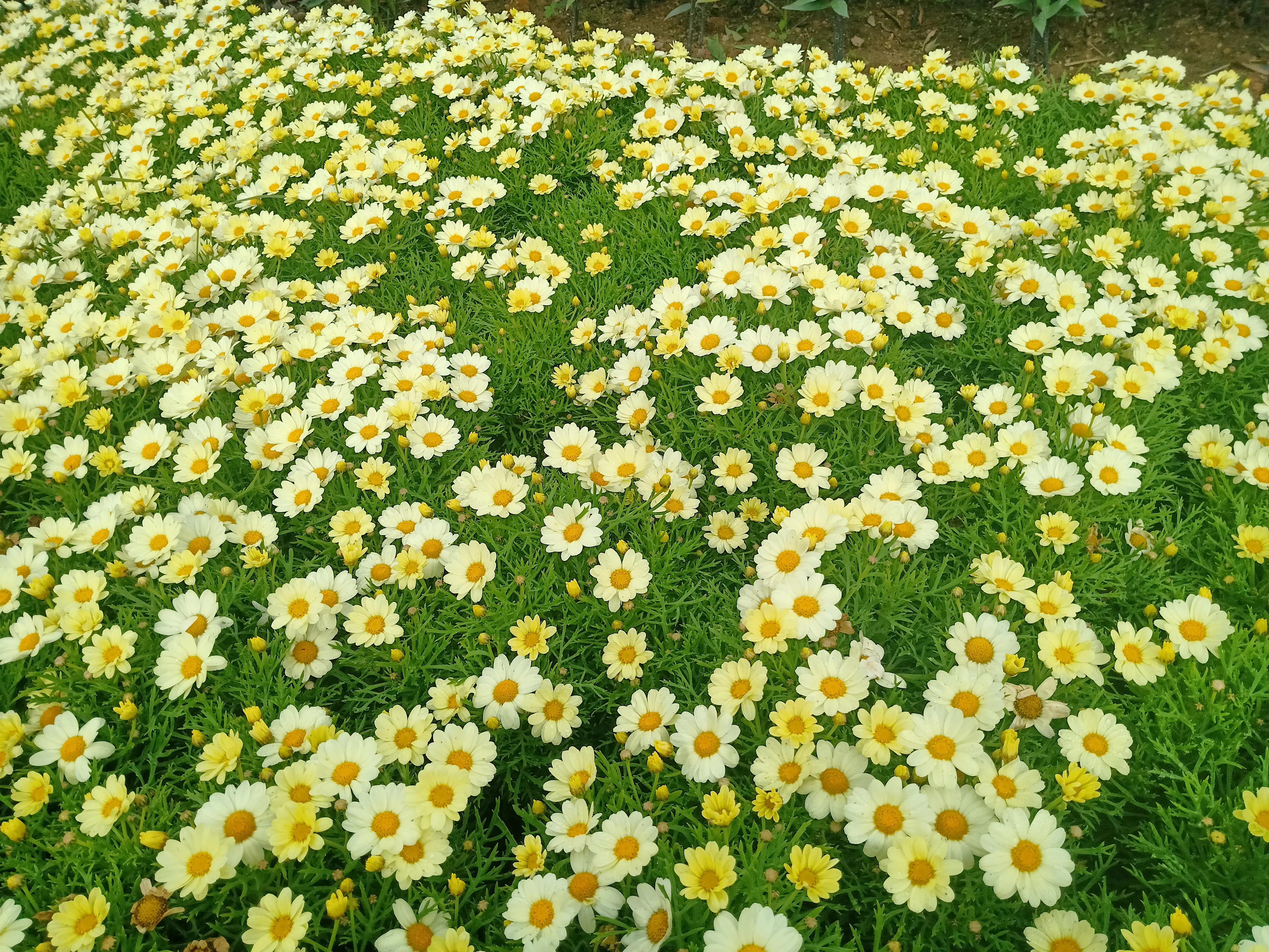 澳门旅游318,自驾澳门去哪里通关比较好