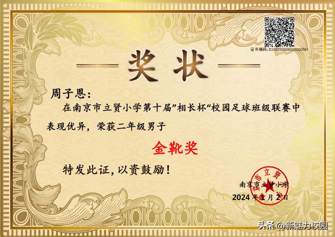 南京市晓庄小学校园足球联赛,区长杯小学校园足球联赛