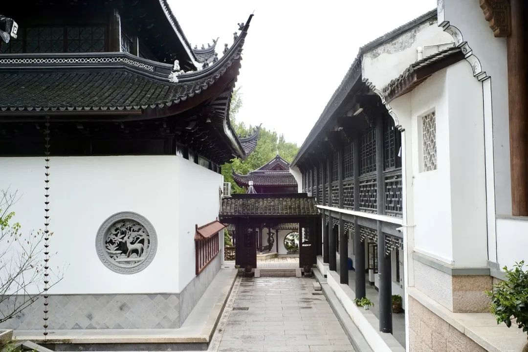 浙江市区度假酒店推荐,浙江轻奢酒店值得推荐