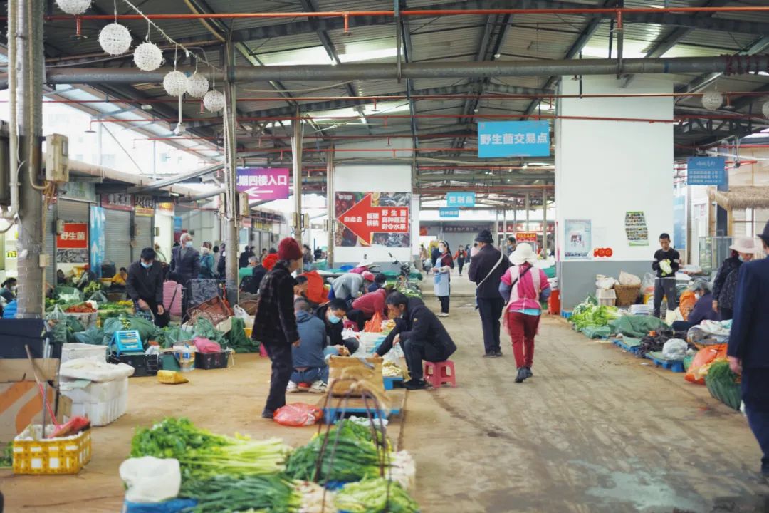 南方小众避寒好去处,今冬避寒好去处推荐