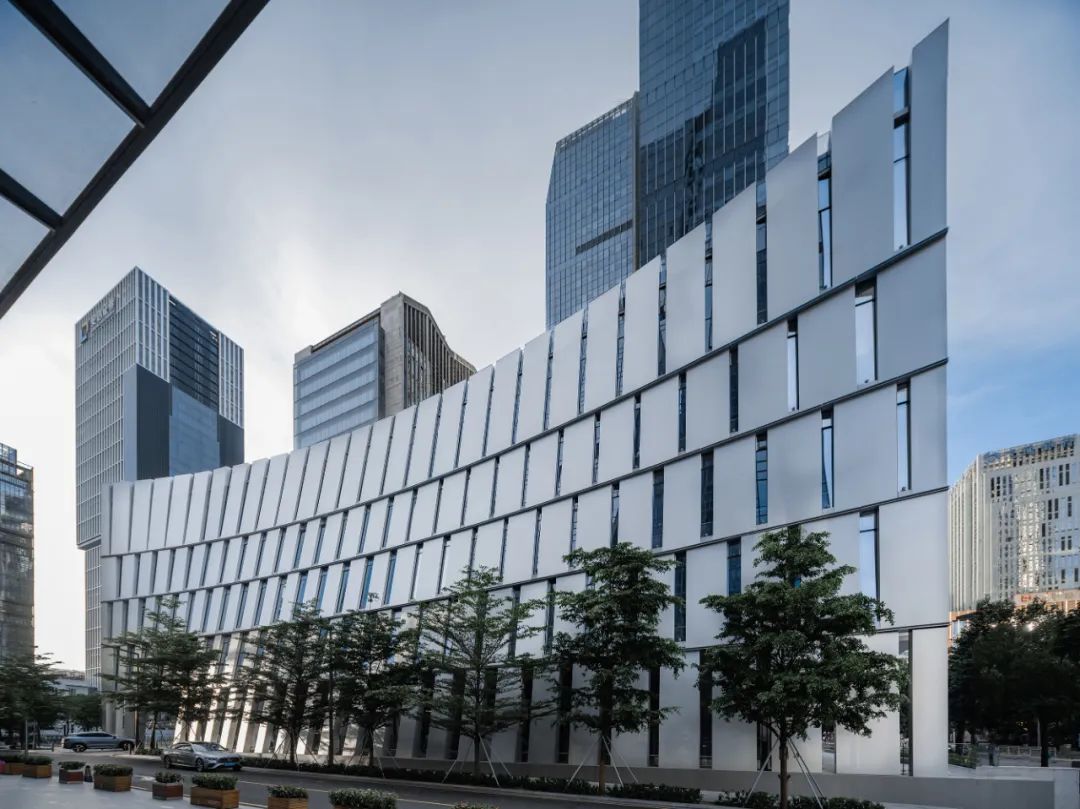 隐市藏金，觅得方寸松弛|上海黄金交易所深圳运营中心