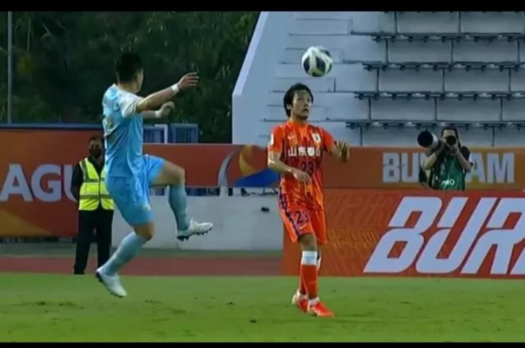 山东泰山‘江西小老表’易县龙未来可期