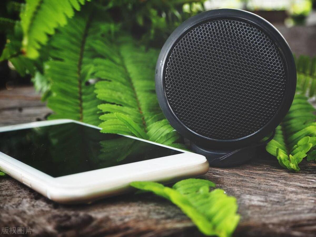 蓝牙音箱和wifi音箱的区别是什么,蓝牙音箱wifi音箱