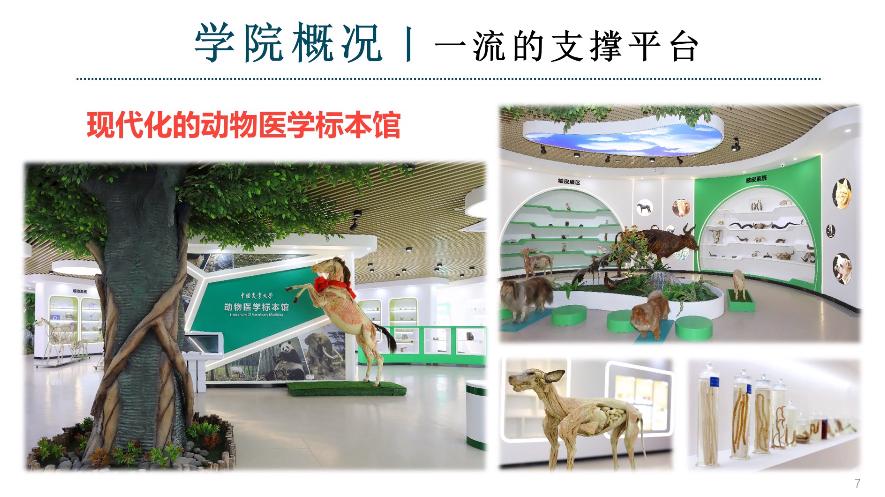 吉林大学动物医学专业好不好就业,河北农业大学动物医学专业好不好