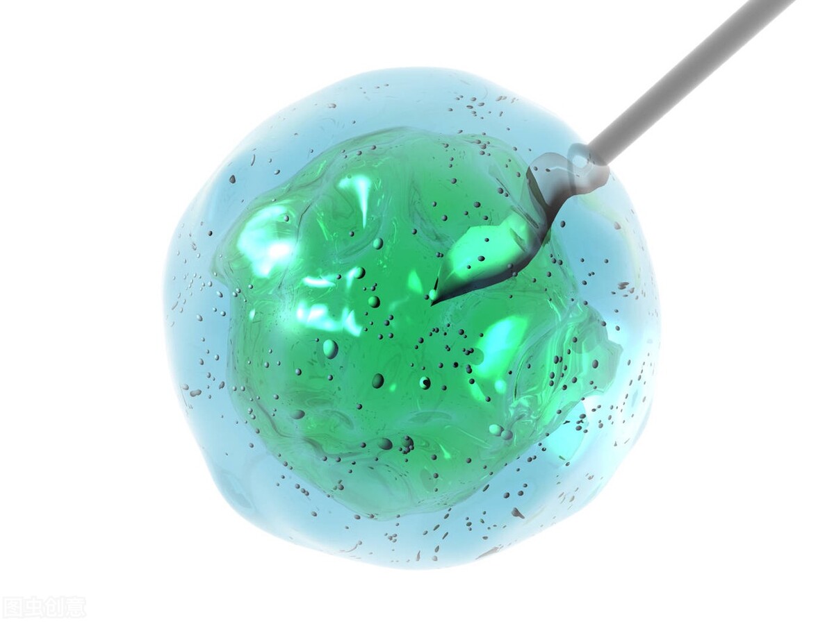 孕期宝宝的变化1-12月,孕期激素变化