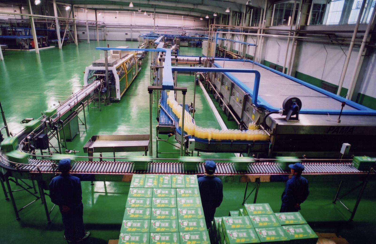 正宗莱阳梨有几棵树,好品山东莱阳梨