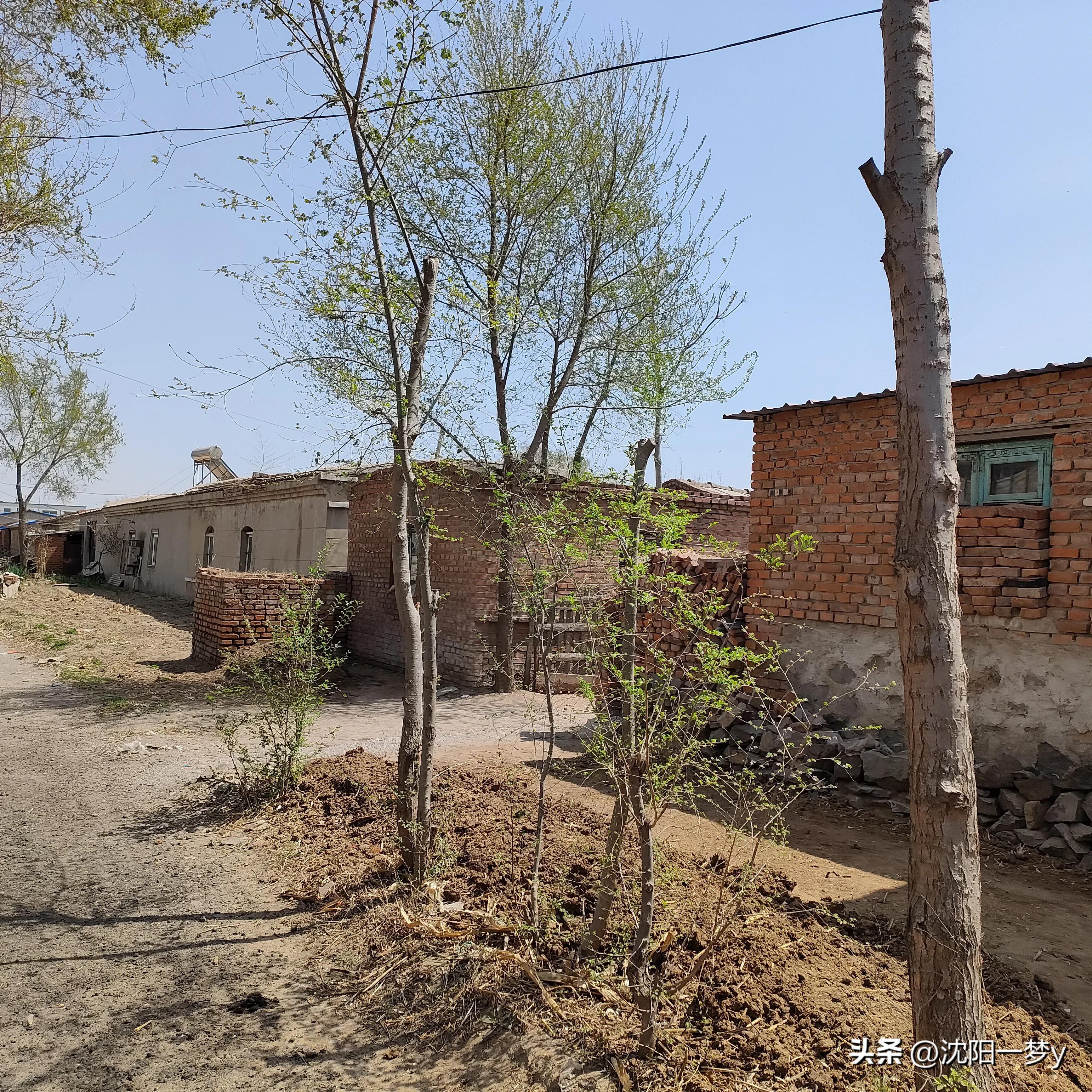 我的婚外恋最新全部章节在线阅读,我的婚外情人193集