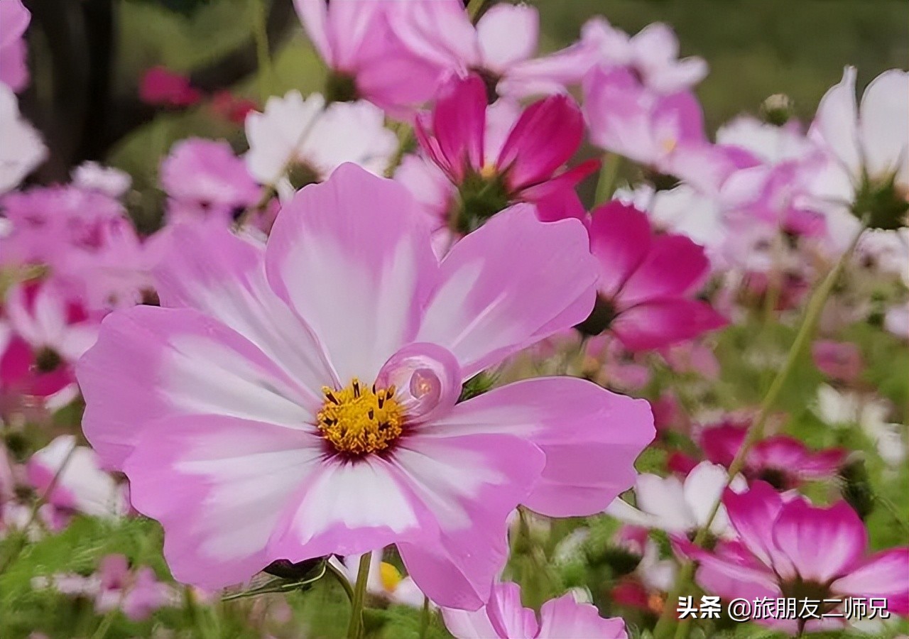 广州去西藏沿途景点攻略,东莞出发5天自由行攻略