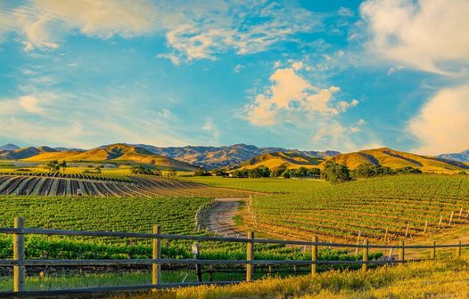 证件照大小一般多大,证件照大小一般是多少