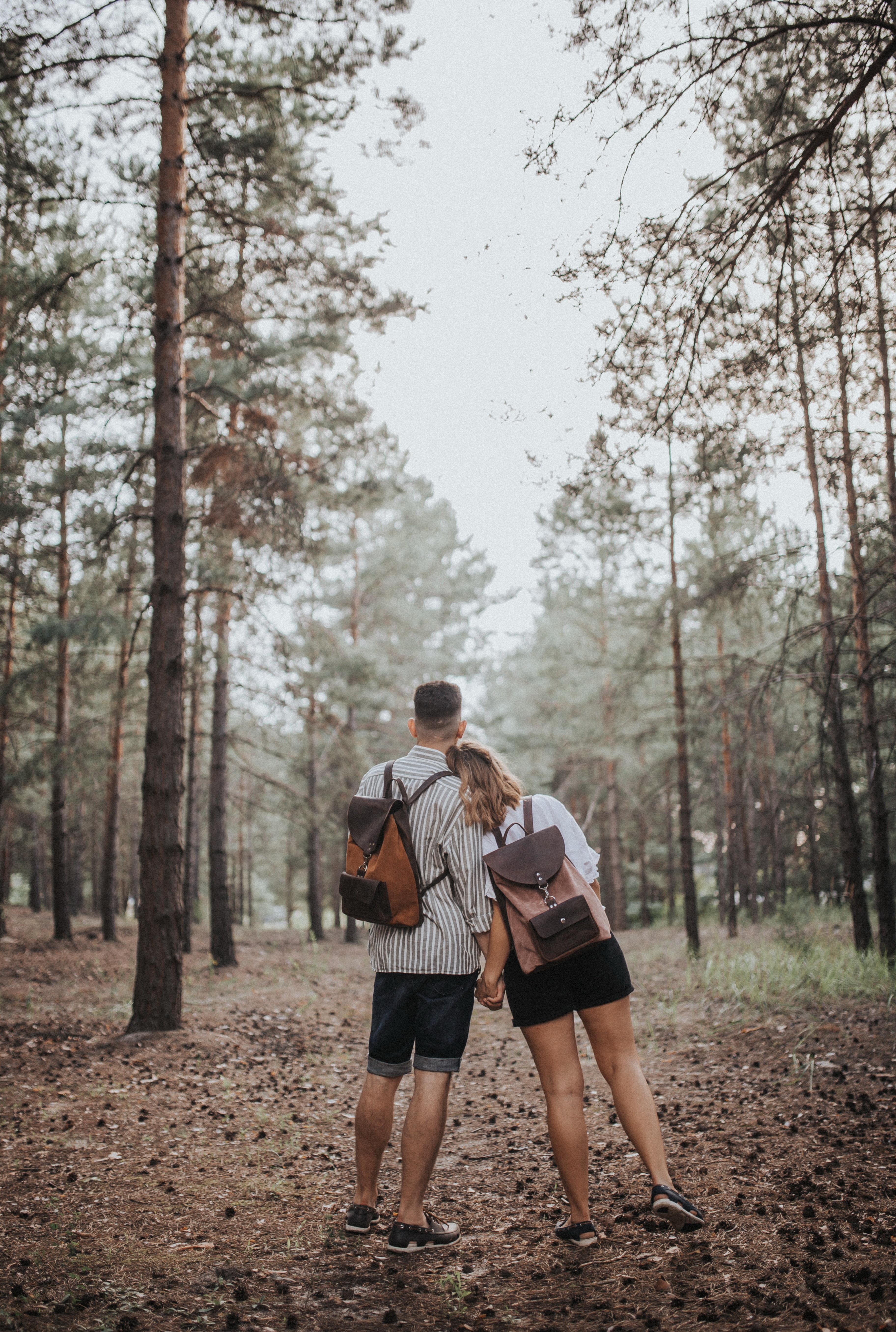 印家传音，四大佬即将登场