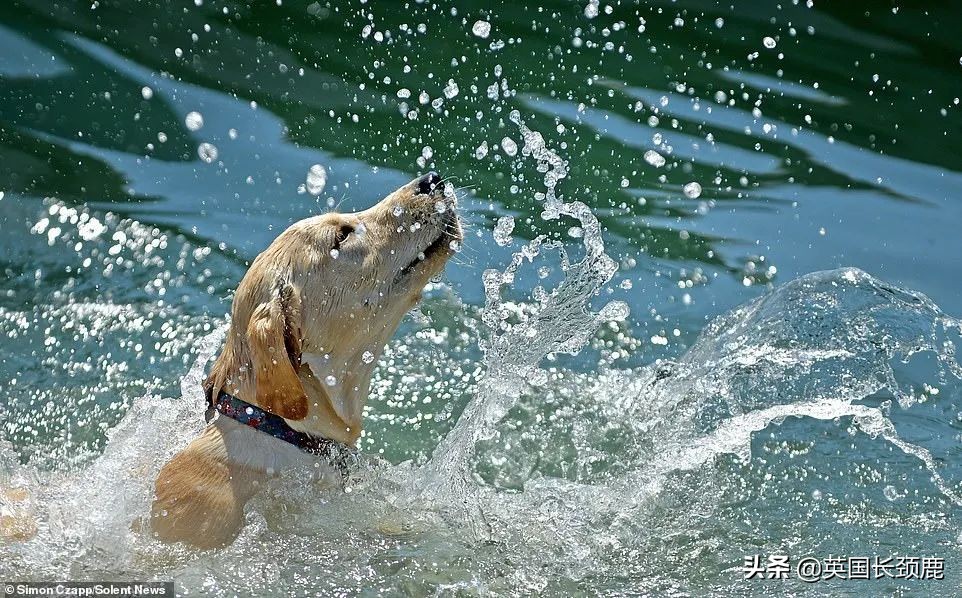 英国气象局发布极端红色高温预警,英国高温度来袭