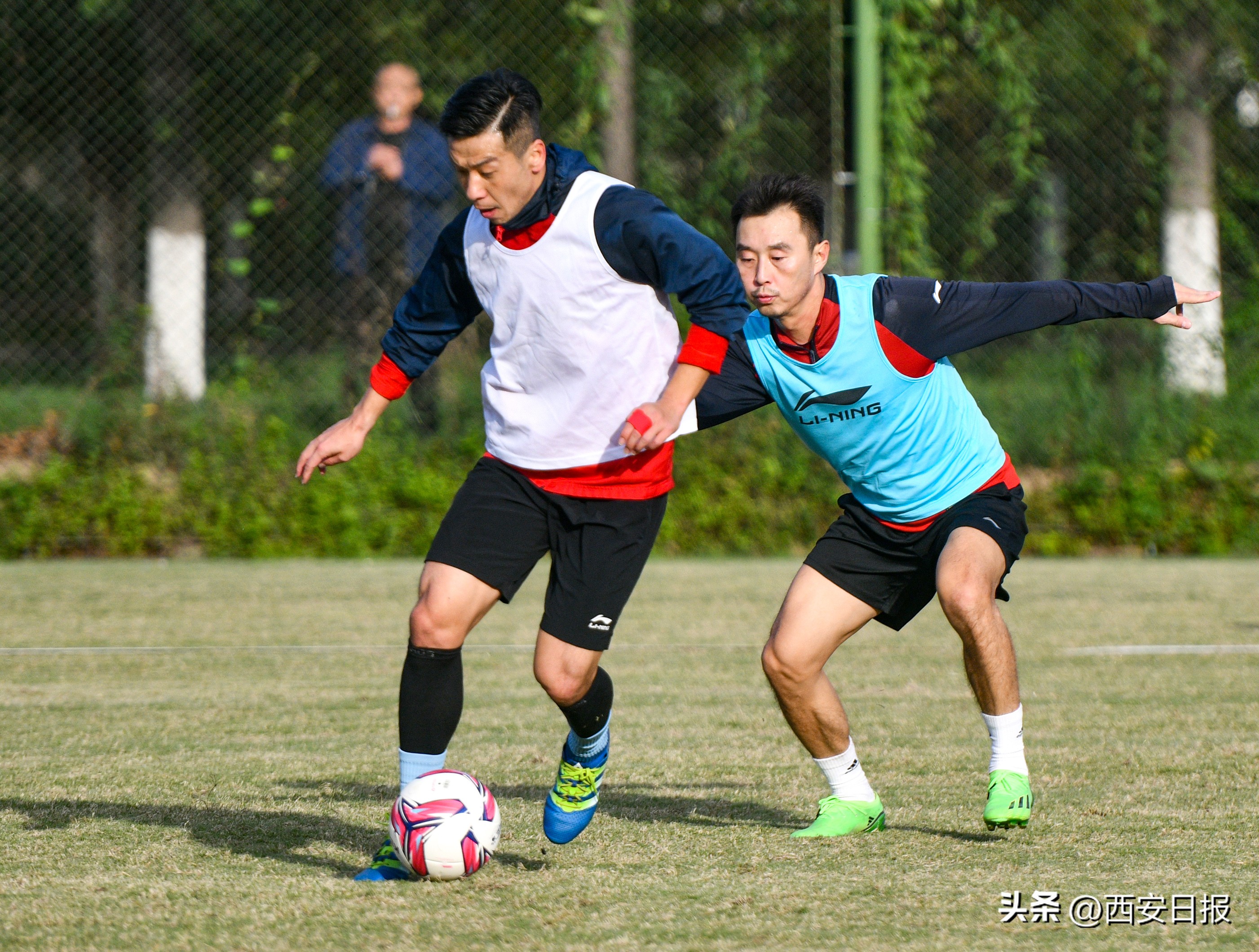 中甲西北狼最新视频,中甲西北狼最新信息