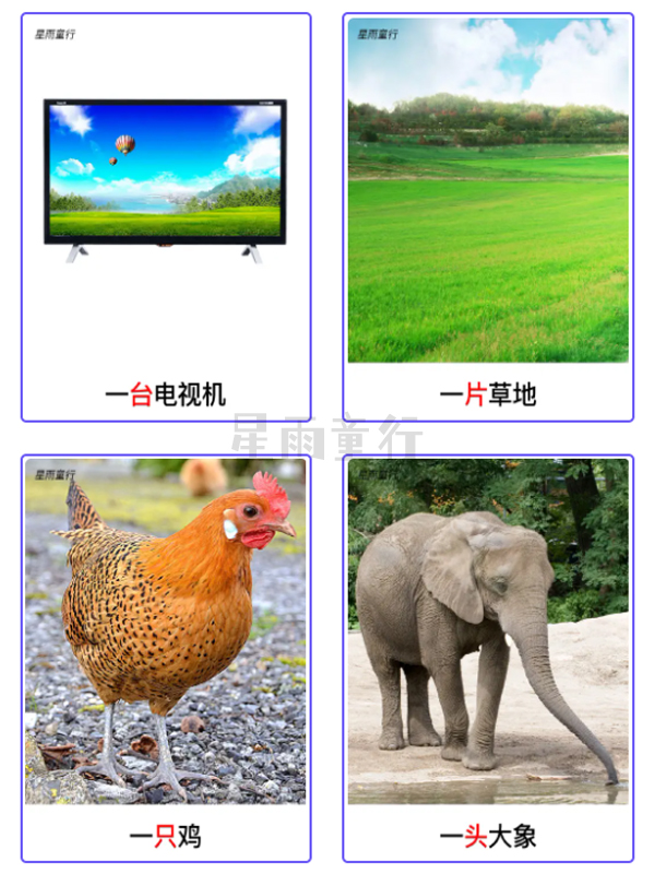 认知量词卡片,量词小卡片