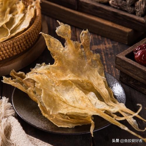 最全鱼胶品种大全,目前最好的鱼胶品种