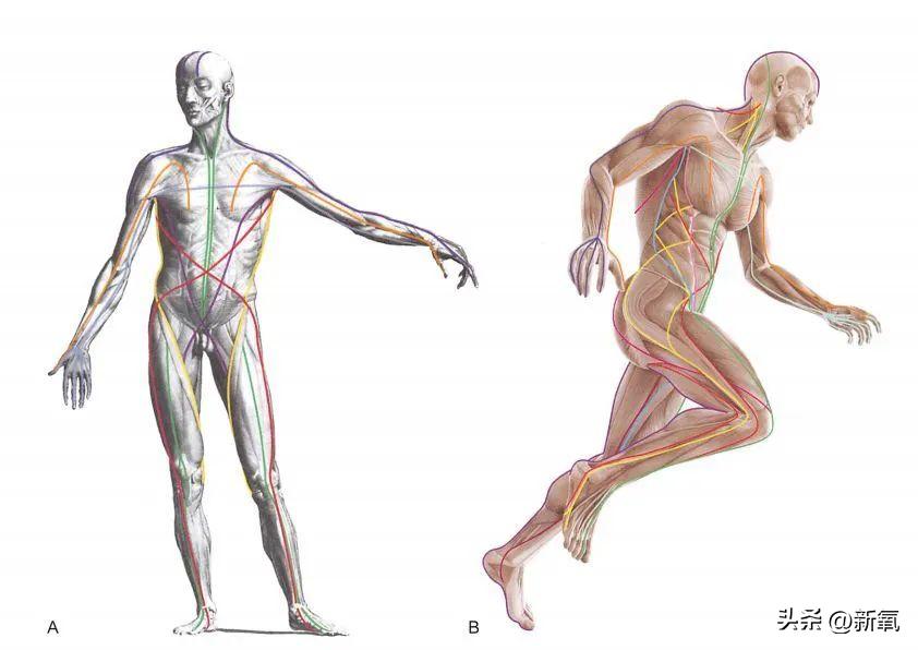 脸太下垂,脸下垂了是不是就显胖