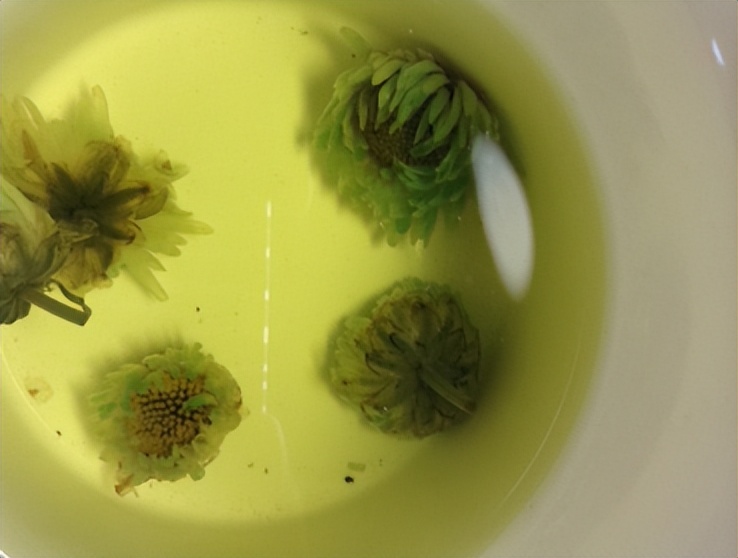 好喝的菊花茶推荐,爱喝茉莉菊花茶