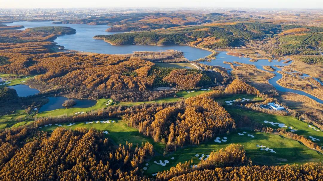 东北偏僻山村真实生活,东北冷不冷的真实生活
