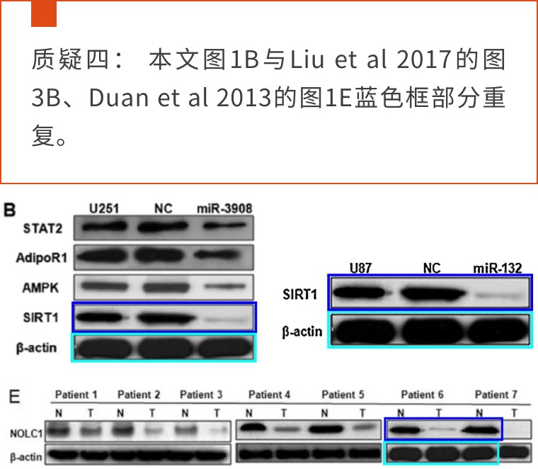 又见广东二院张锦前！联合北京三甲医院发表的高分论文疑似有问题