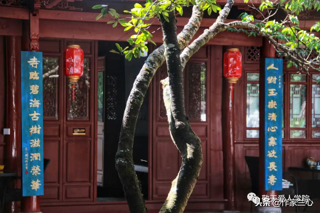 万一龙：以高维智慧，布世间大爱