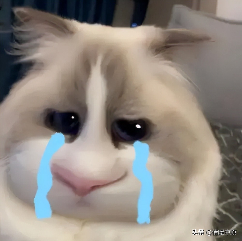 解读郑州交通行业，能不能养家糊口就看你做不做了？