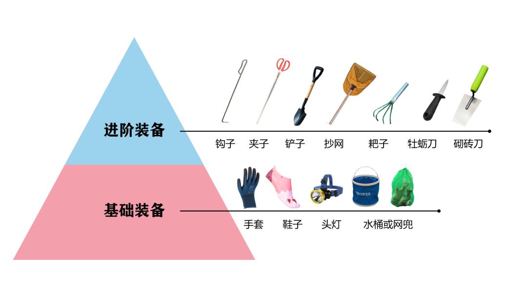 秦皇岛赶海退潮时间表,秦皇岛几点退潮赶海能捡到海鲜