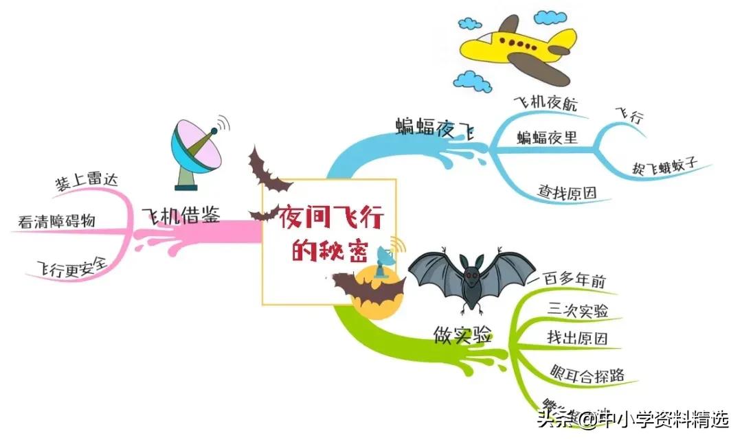 怎么画思维导图语文四年级上册,四年级思维导图语文简单漂亮上册