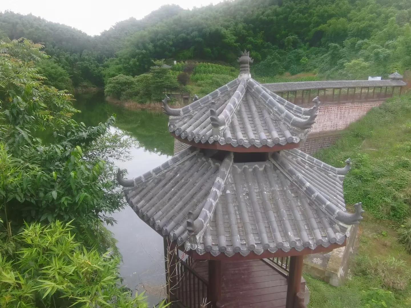 端午游竹园风景,端午节去轿子山赏杜鹃花海