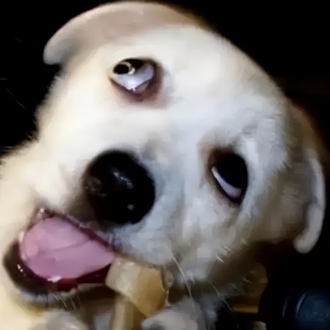 又一明星翻车,又一位当红女星翻车了