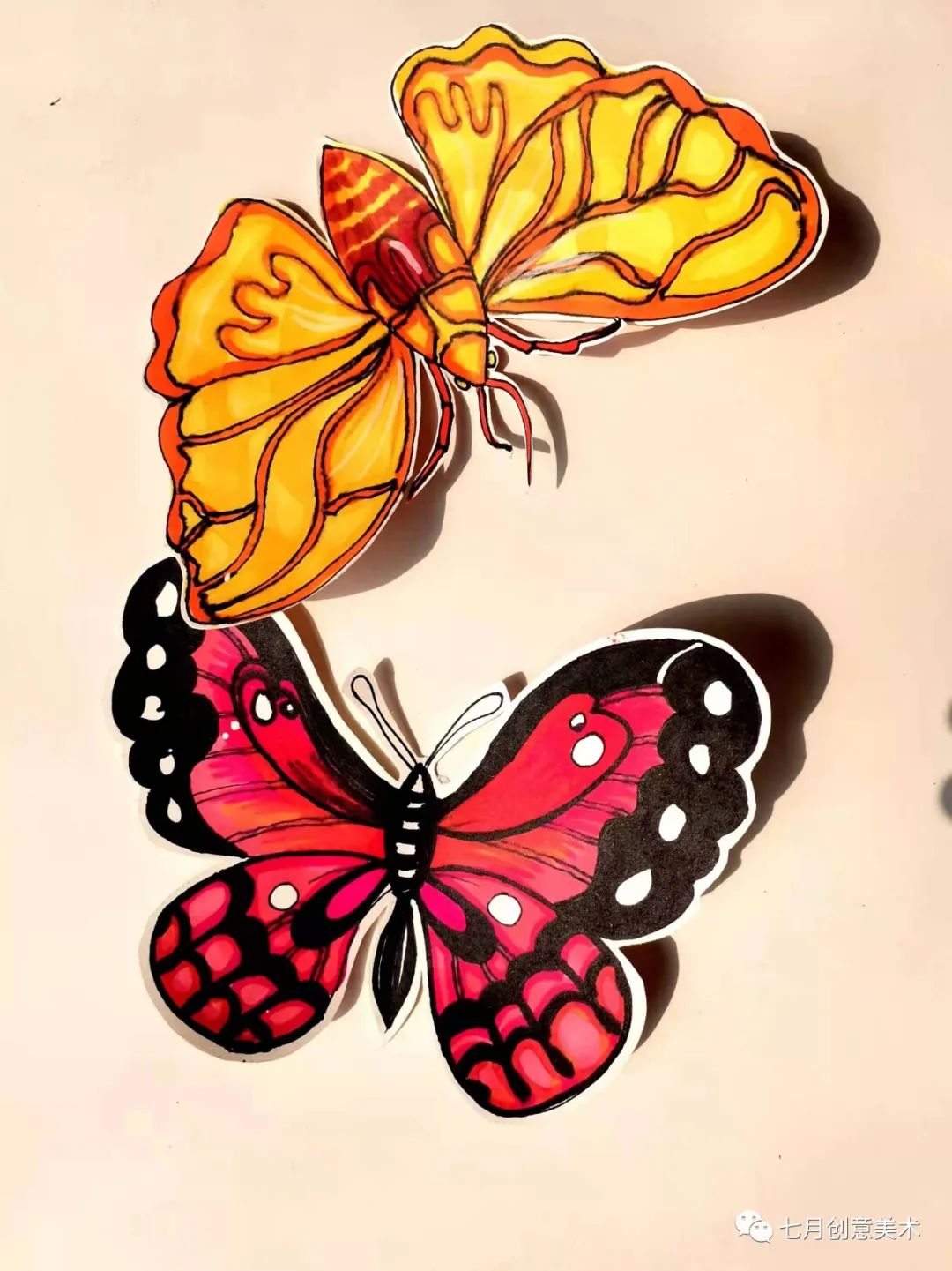 蝴蝶标本挂在墙上,蝴蝶标本制作方法