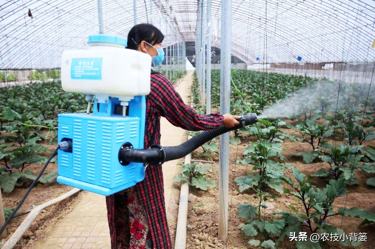 农作物除病害剂,农业害虫防治剂