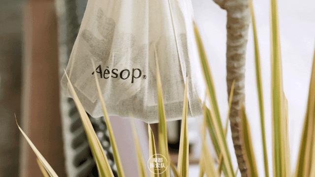 邂逅Aesop伊索全新诗意空间，感知圆融新生的传承与治愈