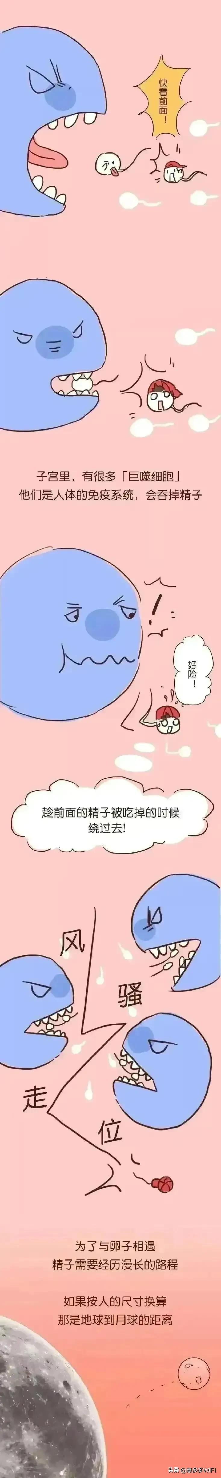 #头条动漫#男人的精子有多励志