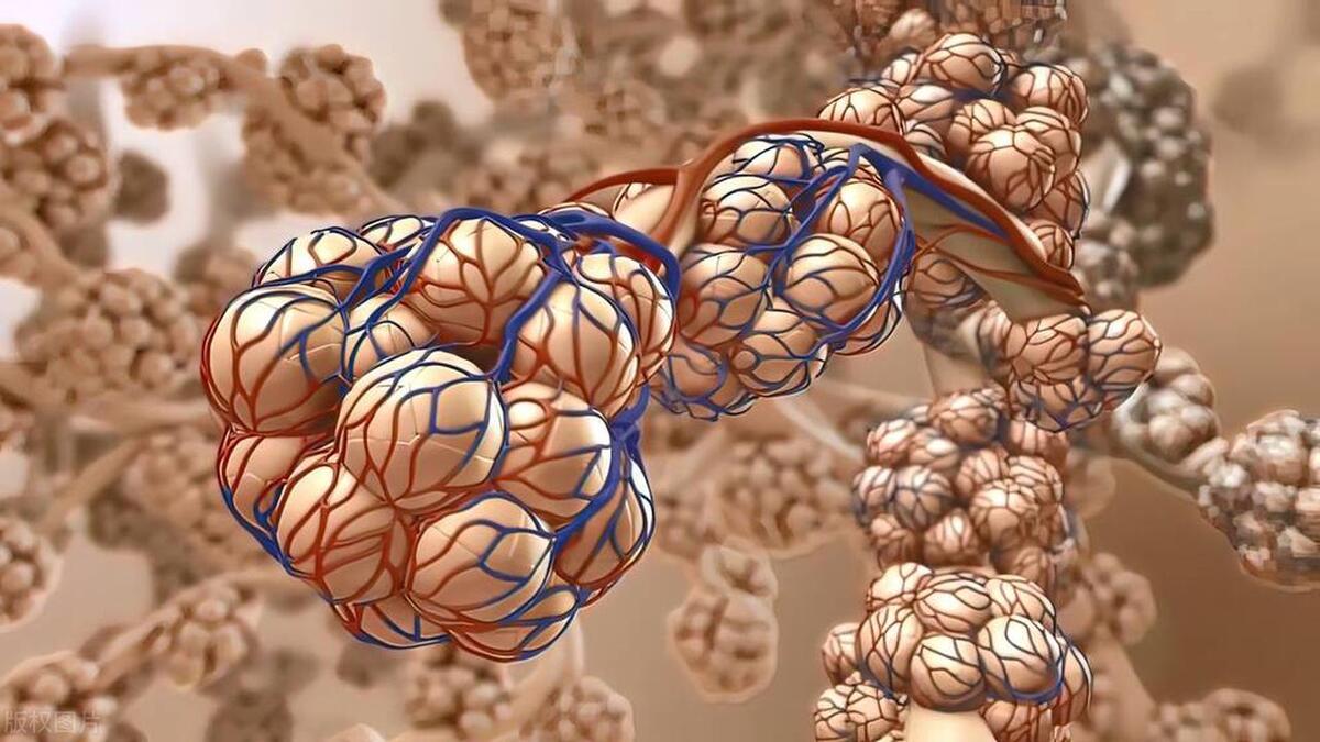 解酒蜂蜜有用还是浓茶有用,吃什么药可以快速解酒