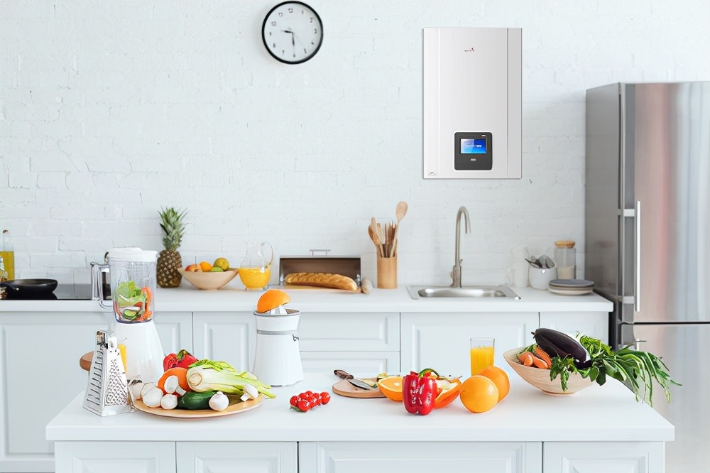 没有供暖有必要安装壁挂炉吗,采暖壁挂炉有没有必要安装