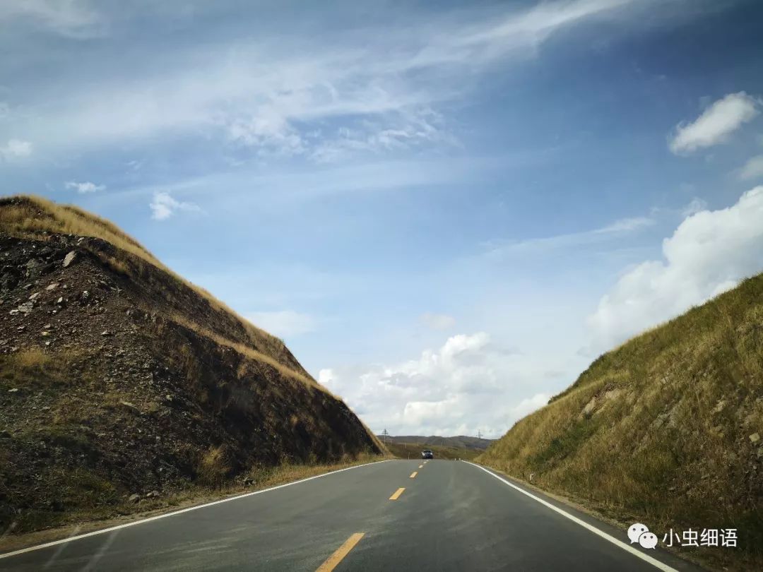 马不停蹄地悠赏之诺尔盖草原