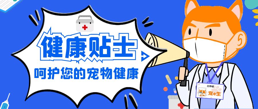 猫咪吃完驱虫药生病怎么办,猫咪驱虫药吃了吐了怎么回事