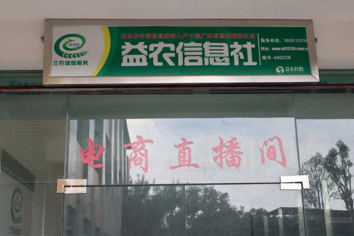 电商助文创：佛山科学技术学院“翁乡桃李”实践队探兰花培育基地