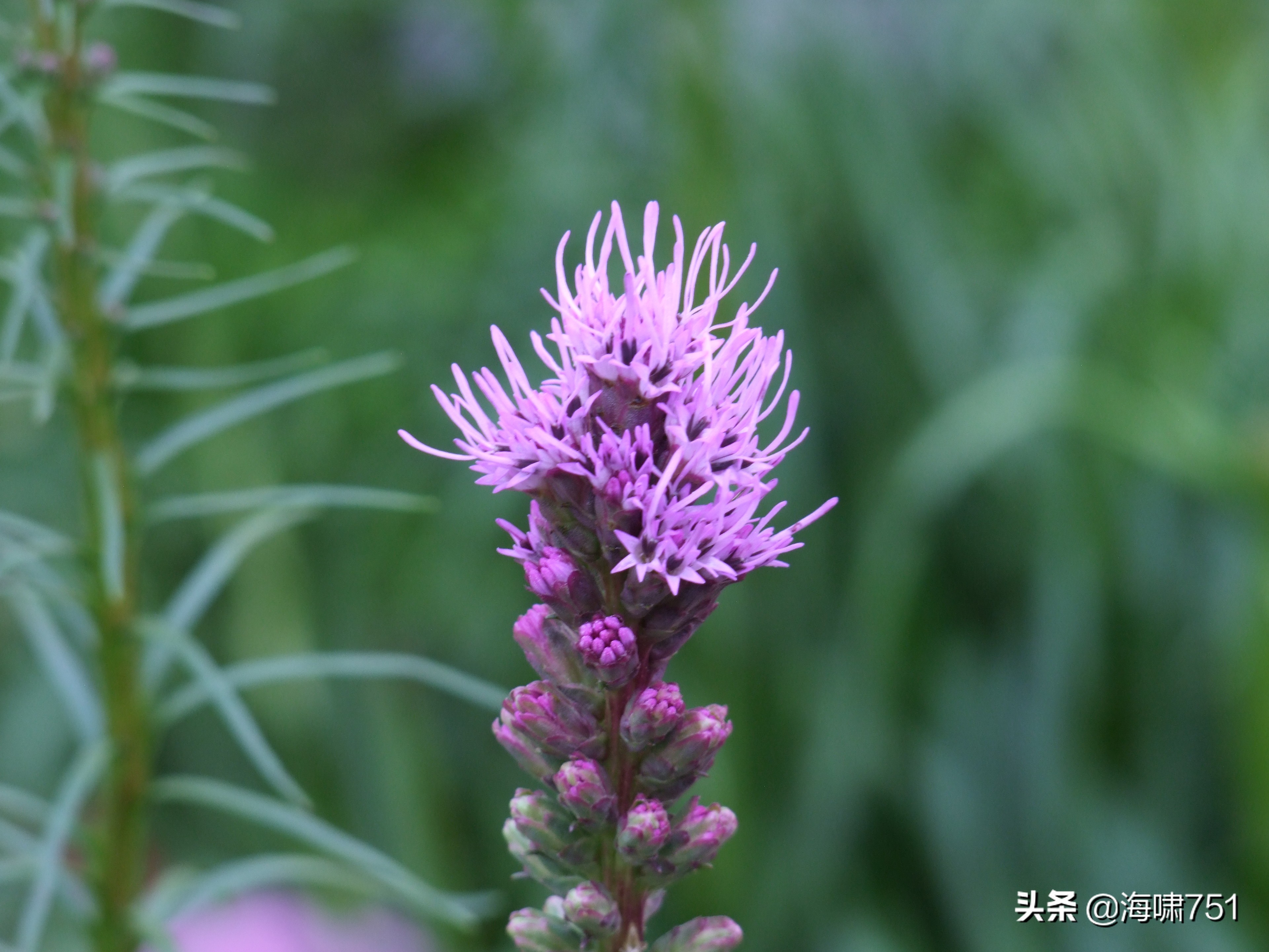 黄花岗公园开放时间,黄花岗公园停车
