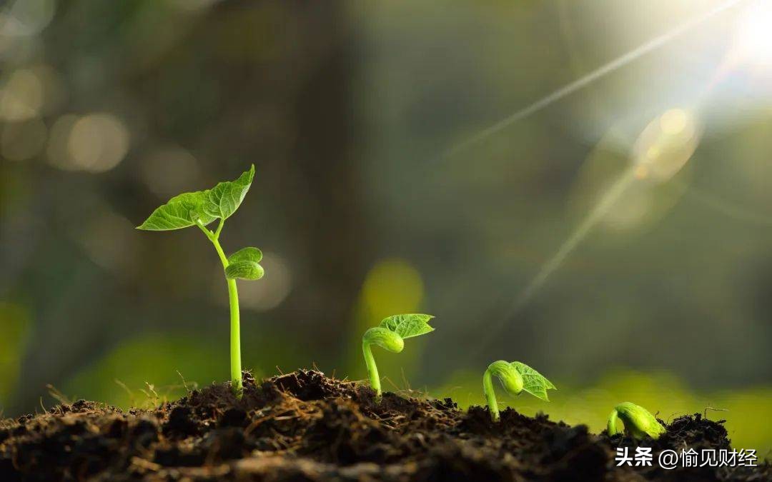 商业银行如何做好普惠小微贷,招行小微贷最新政策